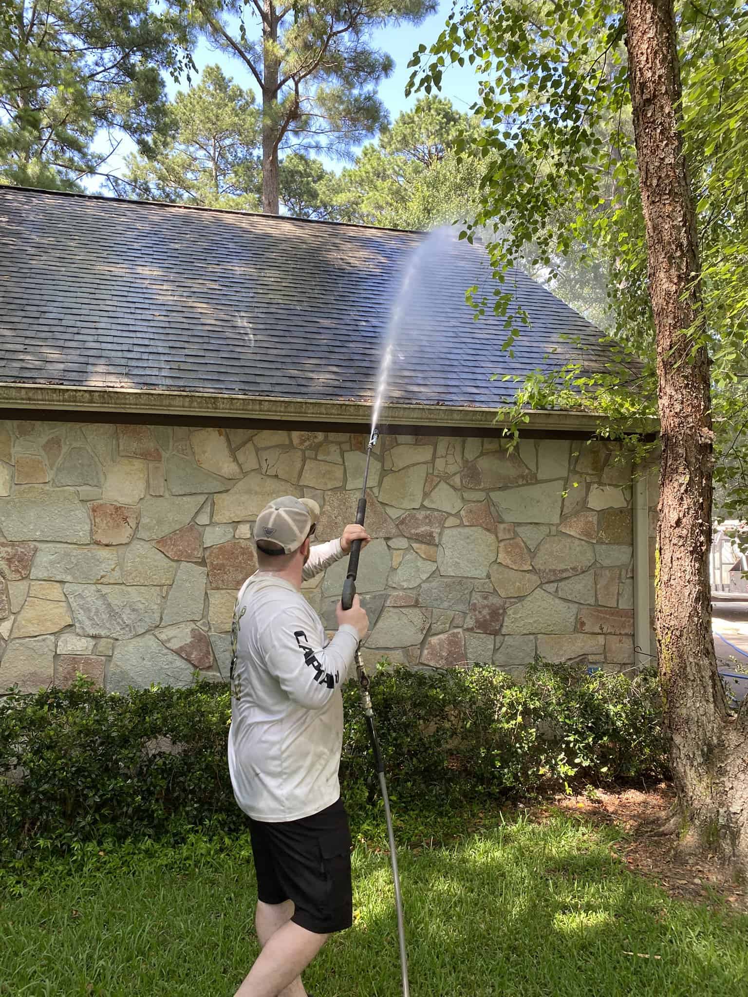 Tree Trimming and Pruning Service